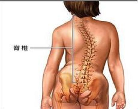 南京强脊诊疗中心强直研究所